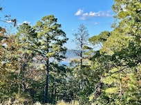 View from the property.