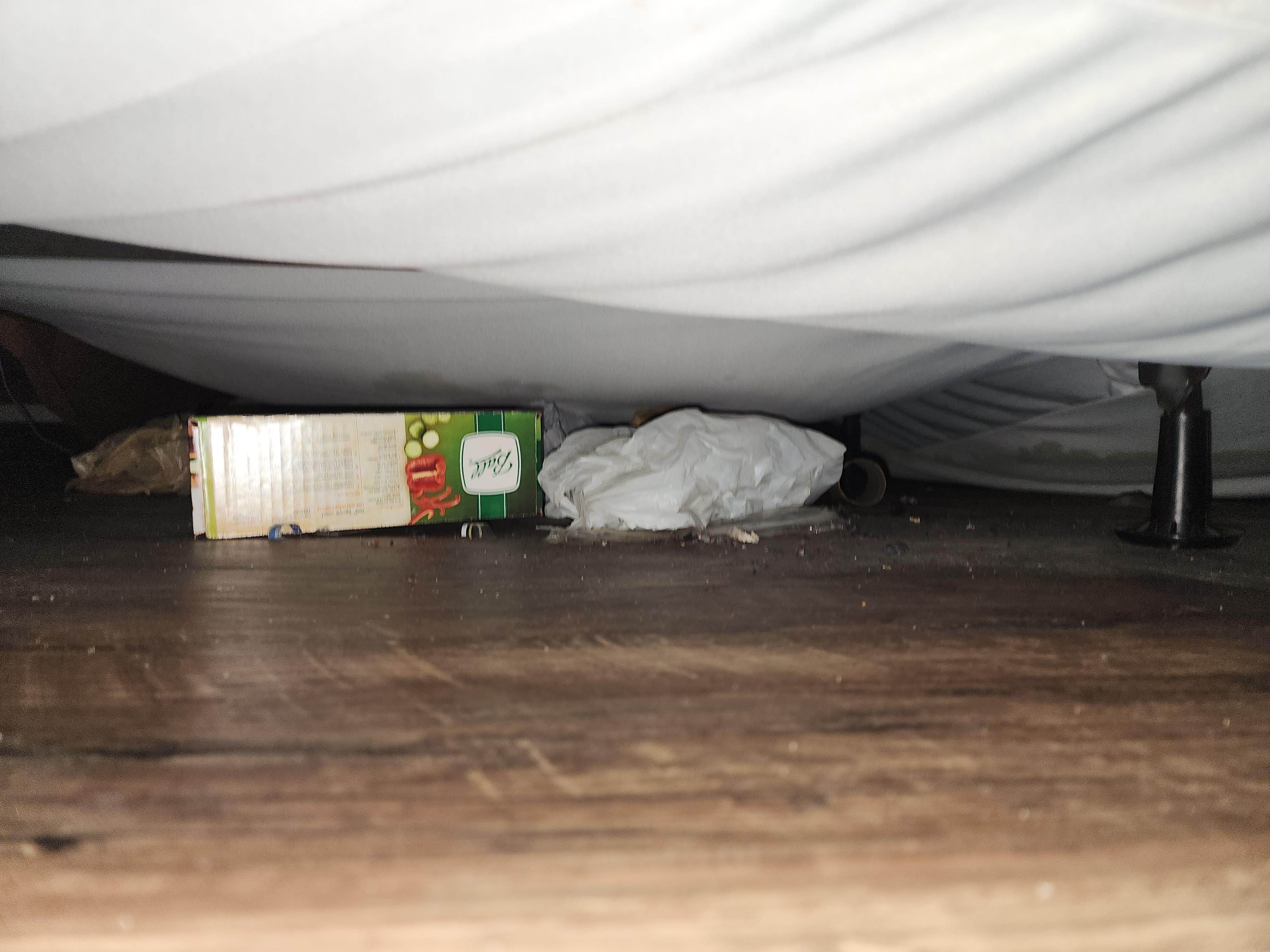 Part of the trash under the bed