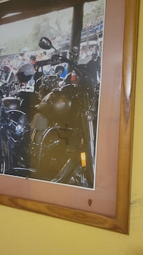 Dead rosch inside picture