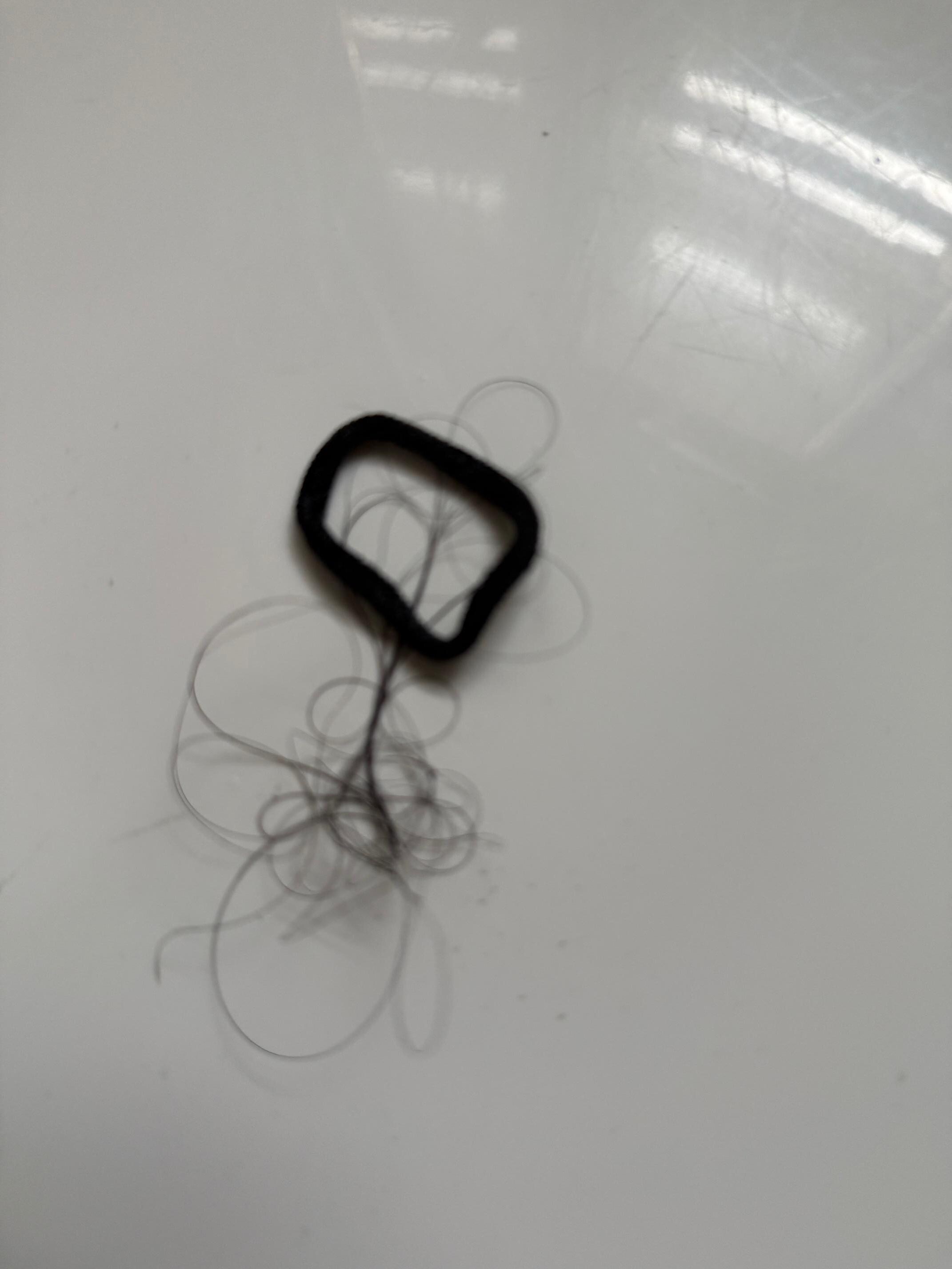 Hair with tie found in the shower cleaning people missed. 