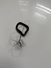 Hair with tie found in the shower cleaning people missed.