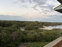 Salt marshes from the balcony.