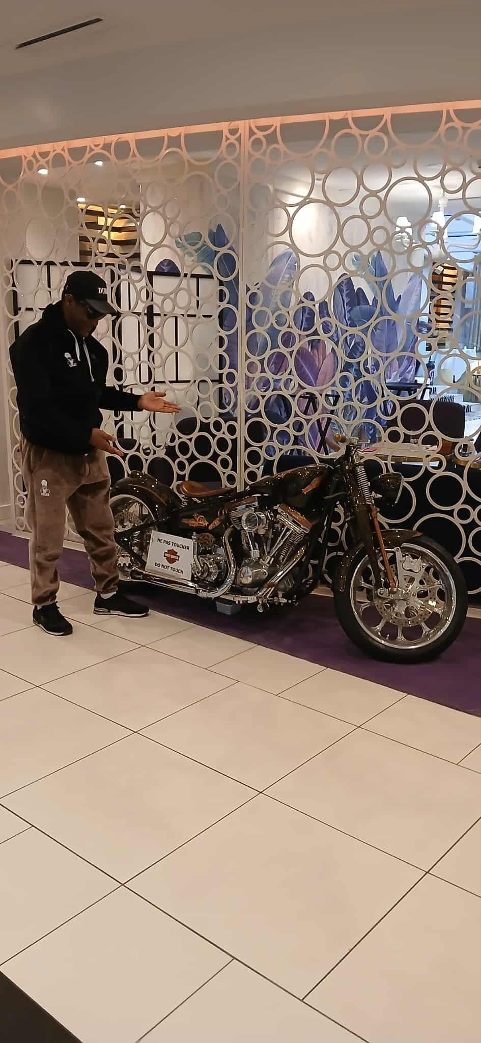 Oeuvre d'art de l'entrée de l'hotel telle une belle galerie 