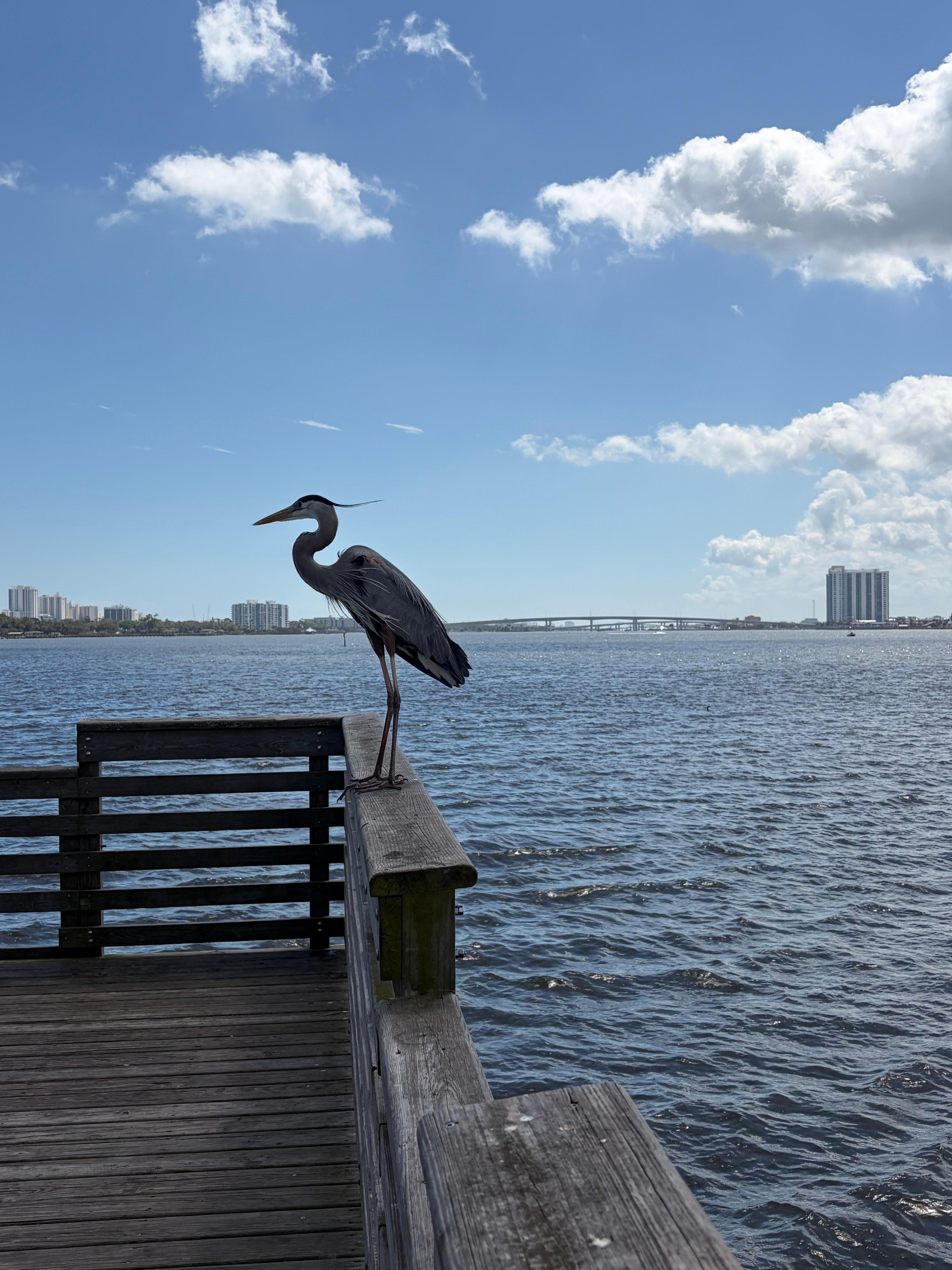 The pier was a short walk from the property as well as the park.