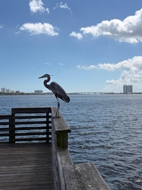 The pier was a short walk from the property as well as the park.