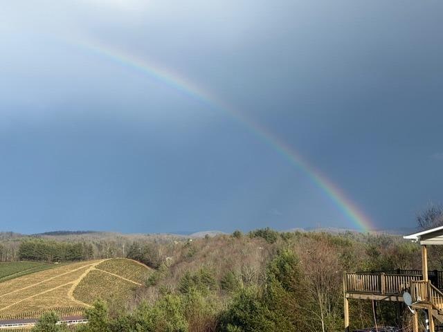 rainbow over the Christmas tree farm in between thunderstorms