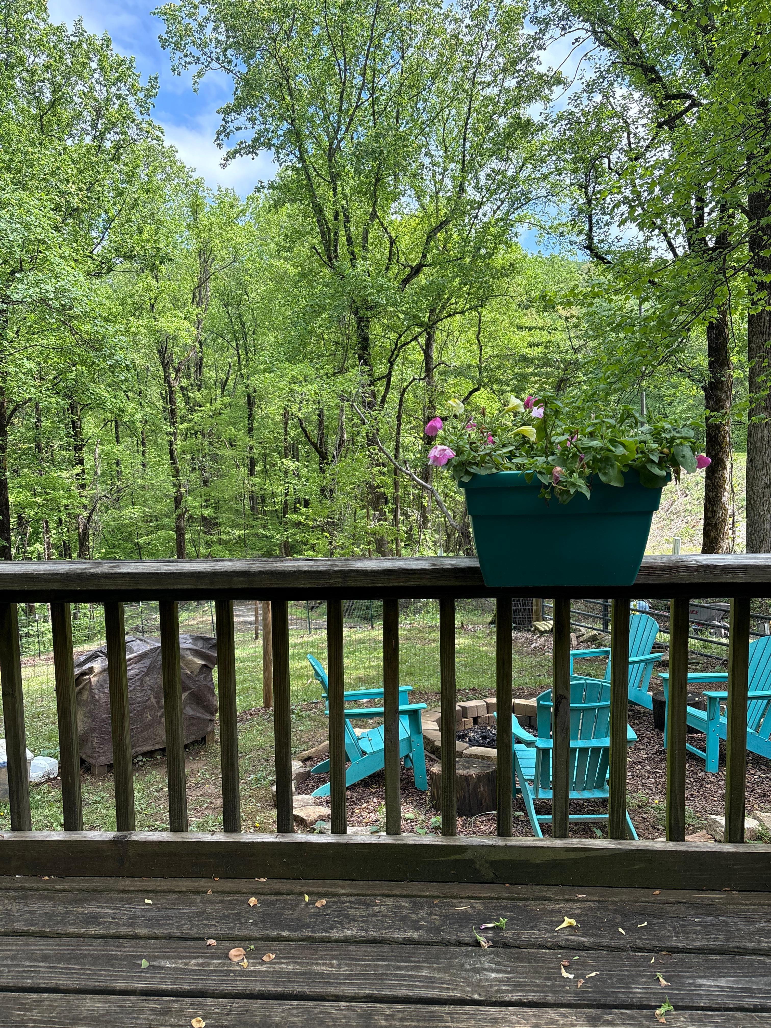 Had coffee on the back porch 