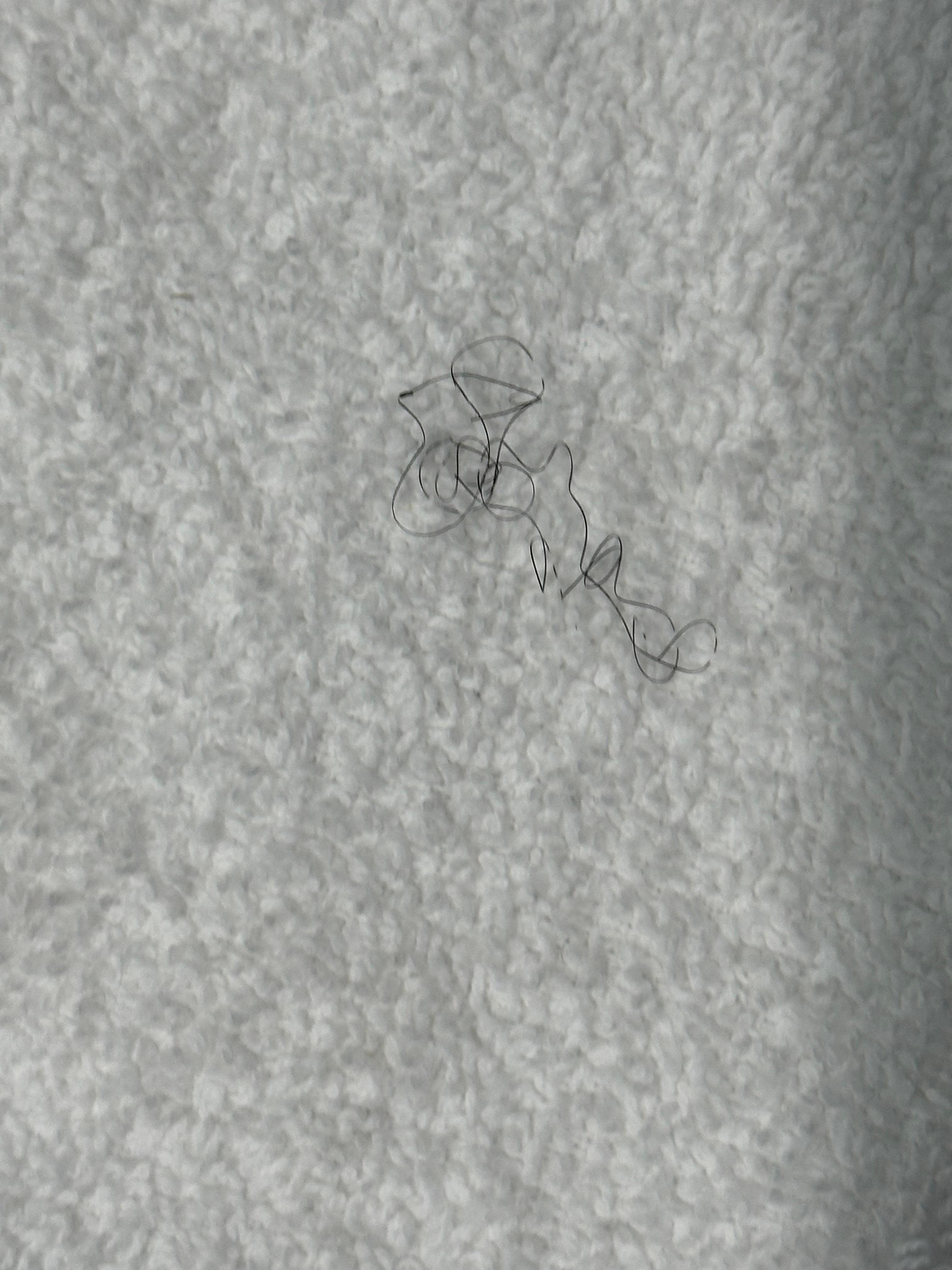 The towel on the top of the stack of “clean towels” when we first arrived.