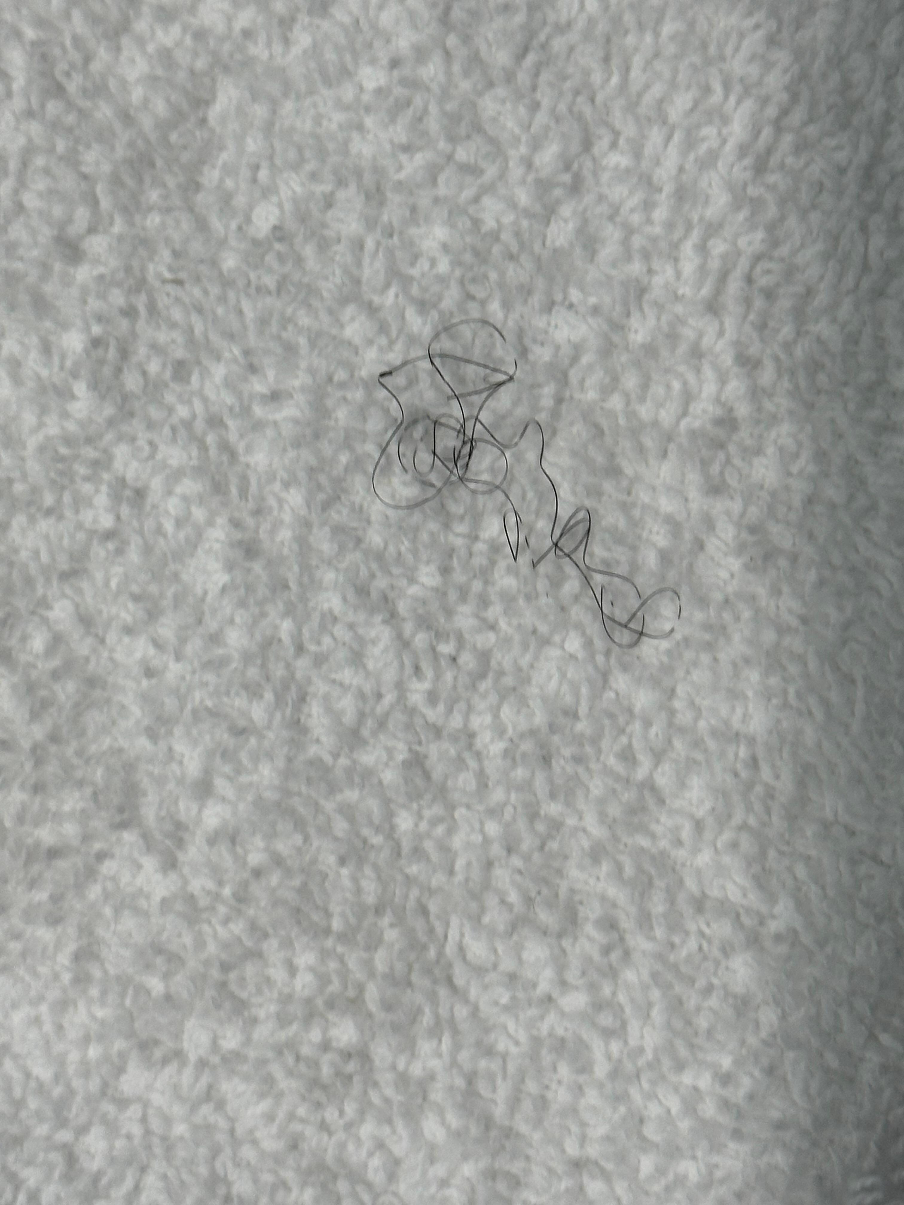 The towel on the top of the stack of “clean towels” when we first arrived.