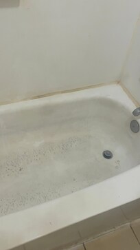 That’s the disgusting bathtub that’s never been washed.