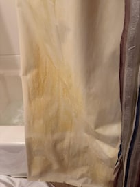 Moldy shower curtain on main level