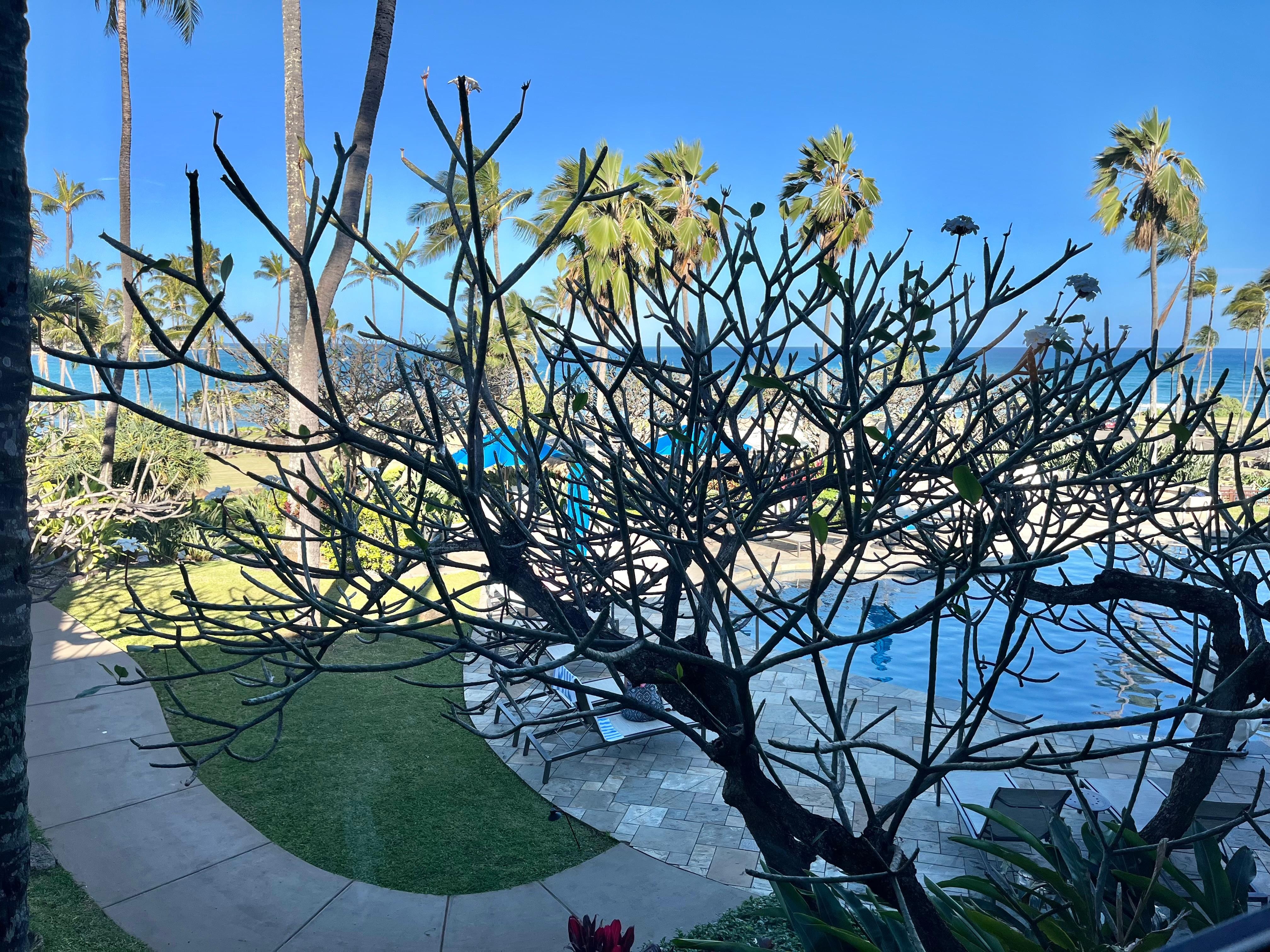 My ocean view that I paid extra for. 