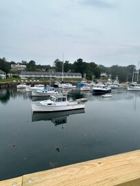 The cove