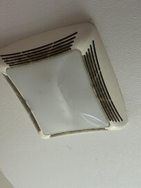 Filthy bath fan