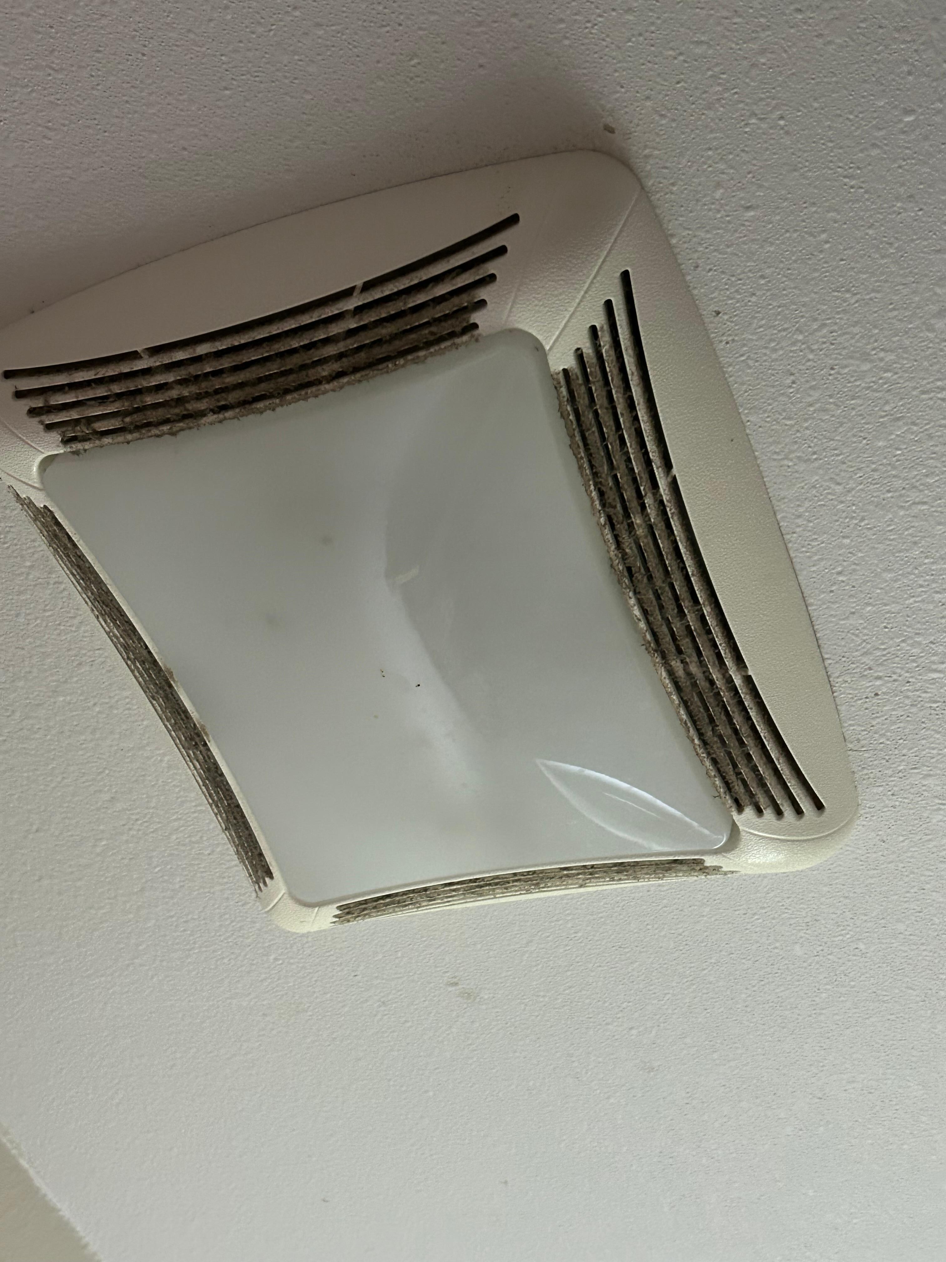 Filthy bath fan