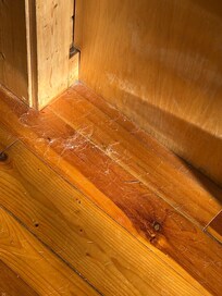 Pet hair and dust in traffic areas