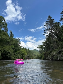 View from on the water at Blue Ridge Tubing, 2 minute walk from cabin and $20 per person!
