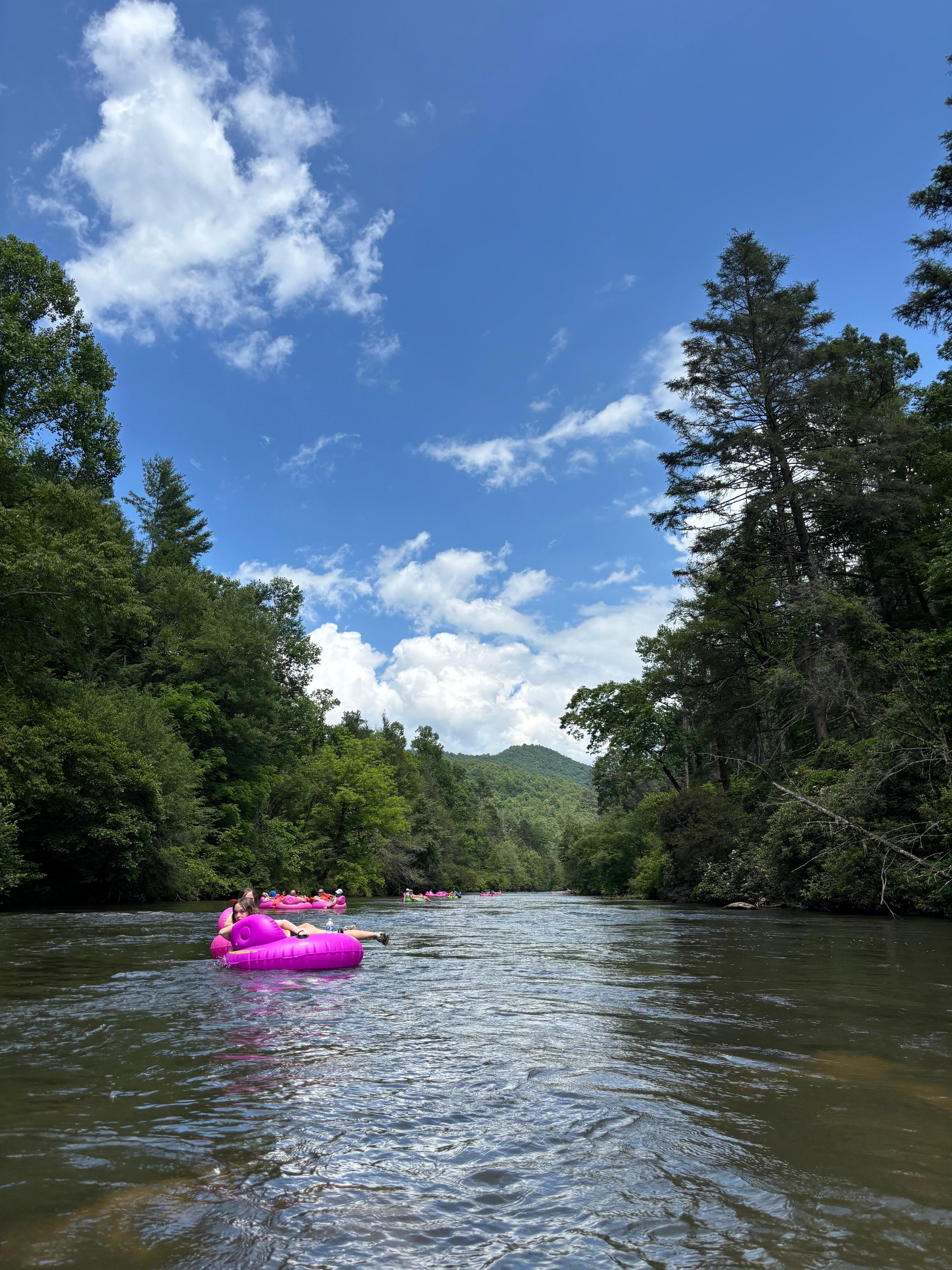 View from on the water at Blue Ridge Tubing, 2 minute walk from cabin and $20 per person!