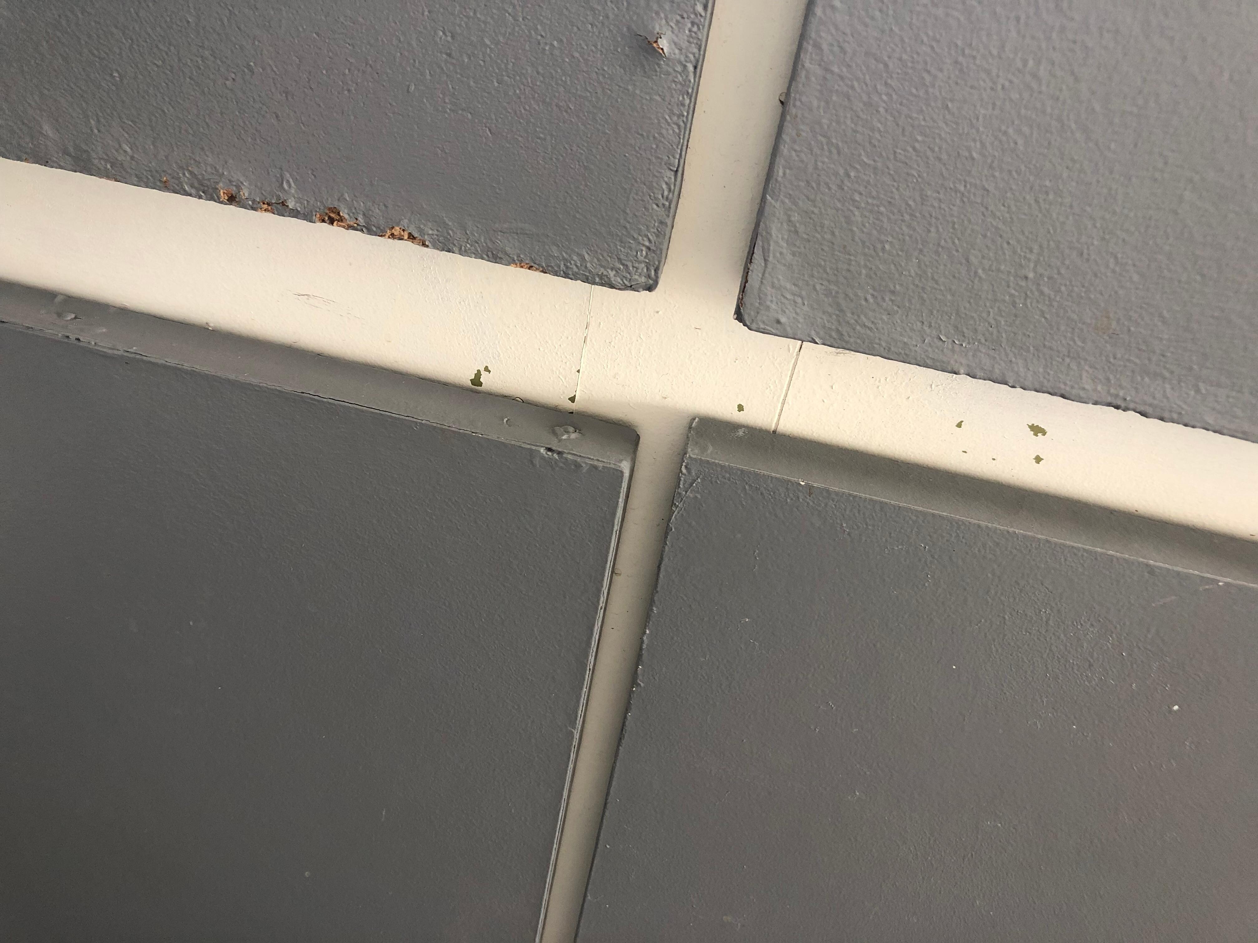 Supposedly new kitchen