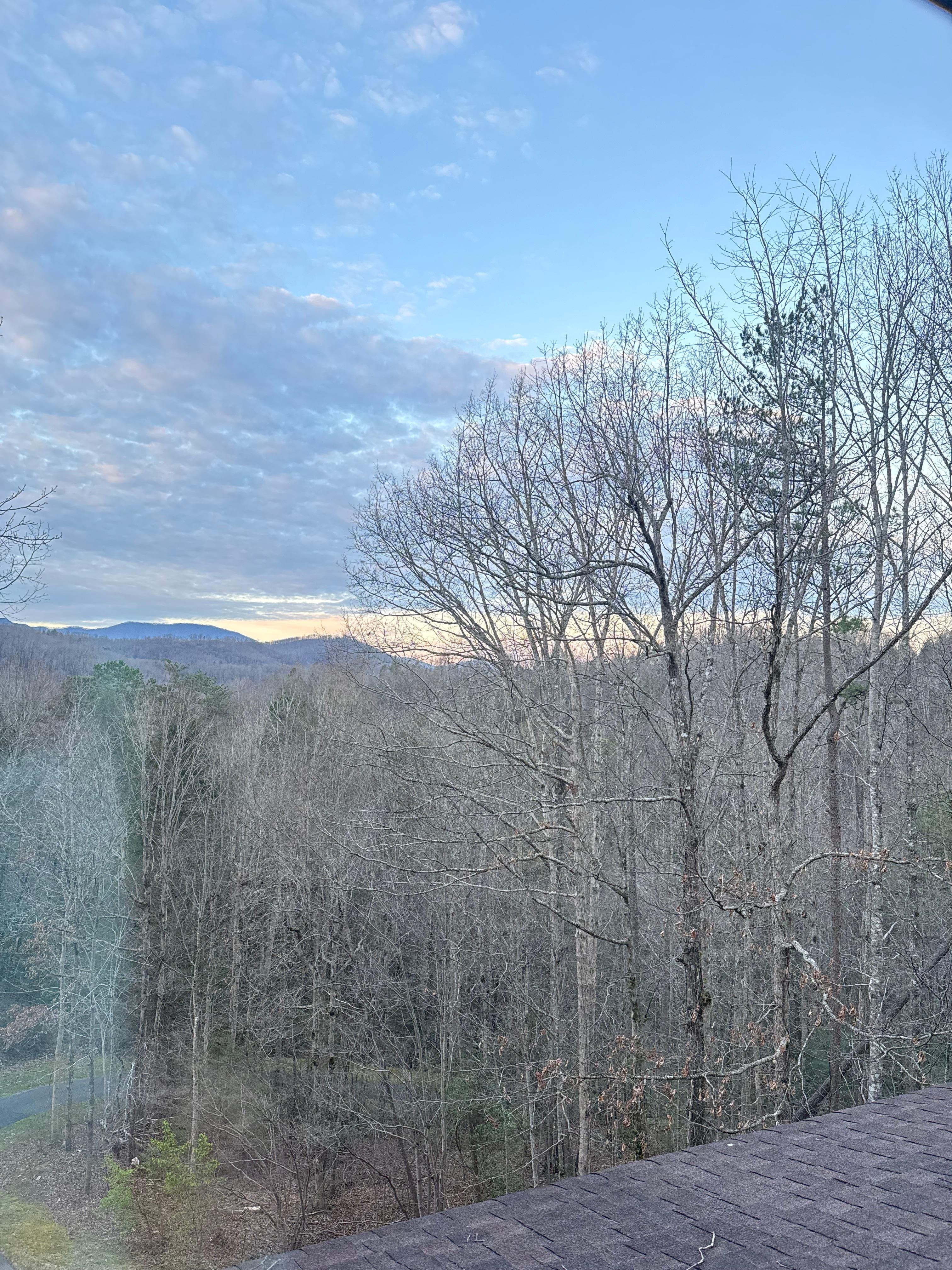 Outside bedroom window 