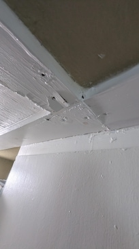 Trim/paint