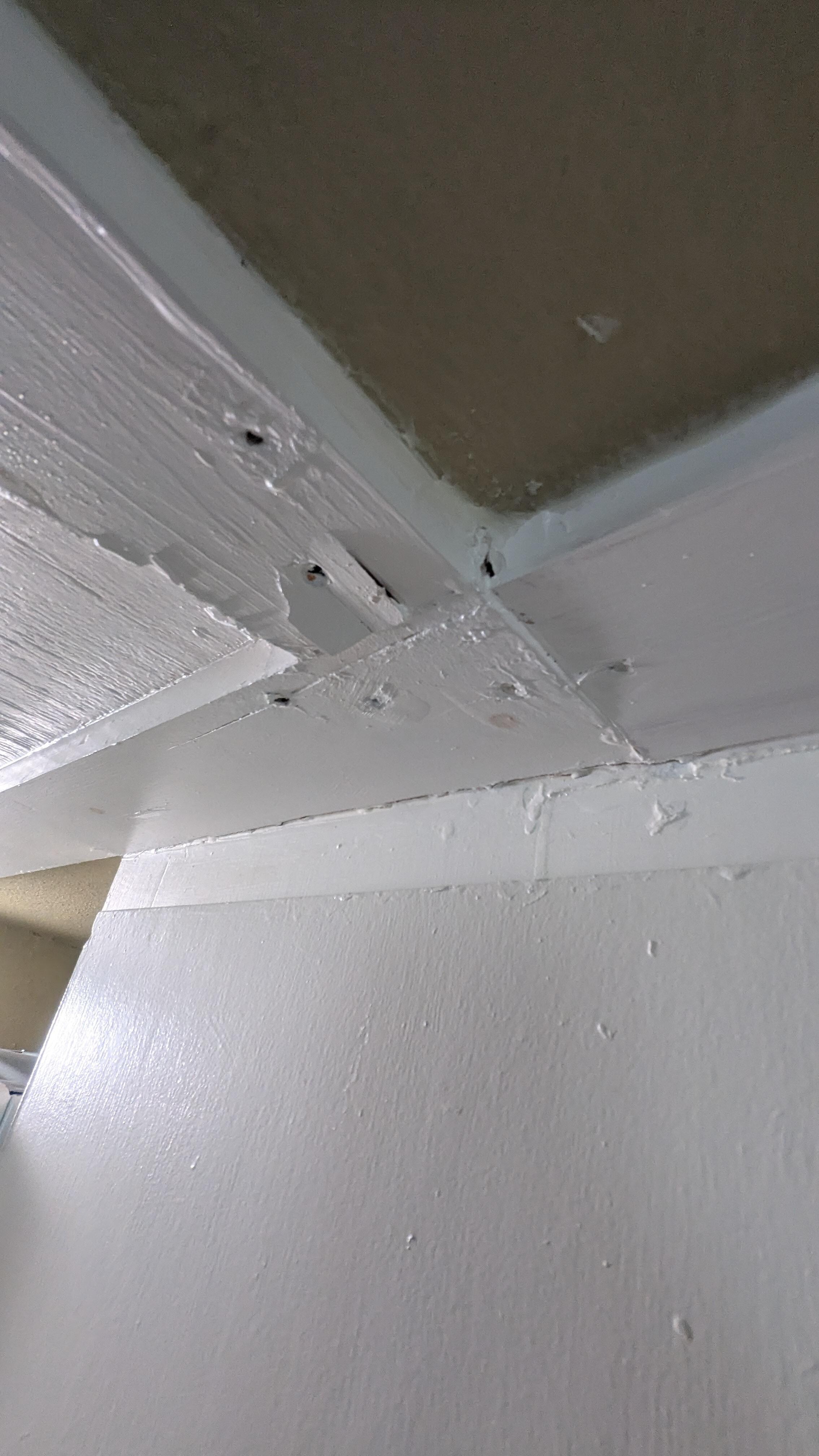 Trim/paint