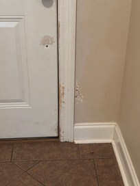 Previous dog in the house tore up baseboards walls