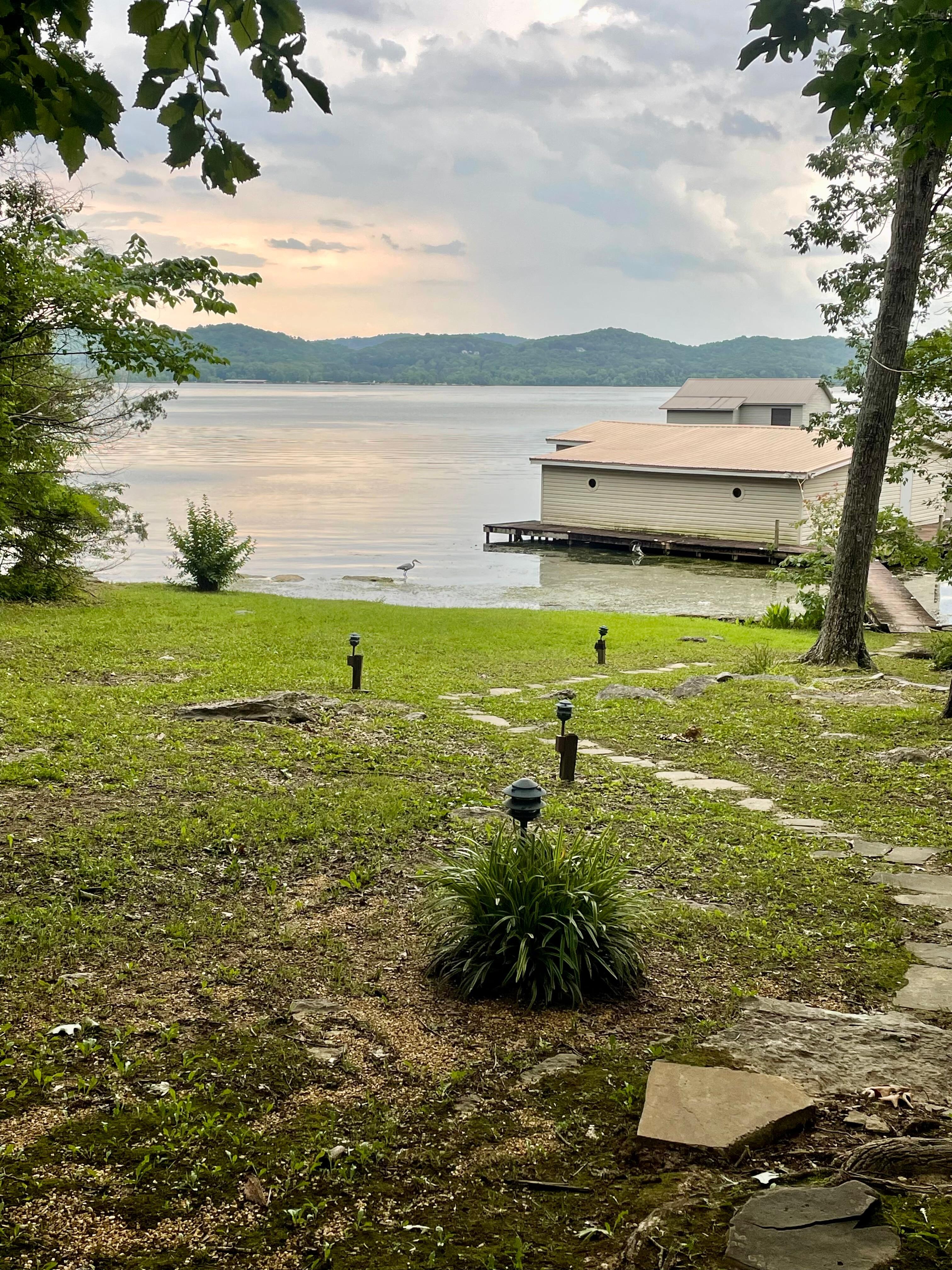 The back yard.