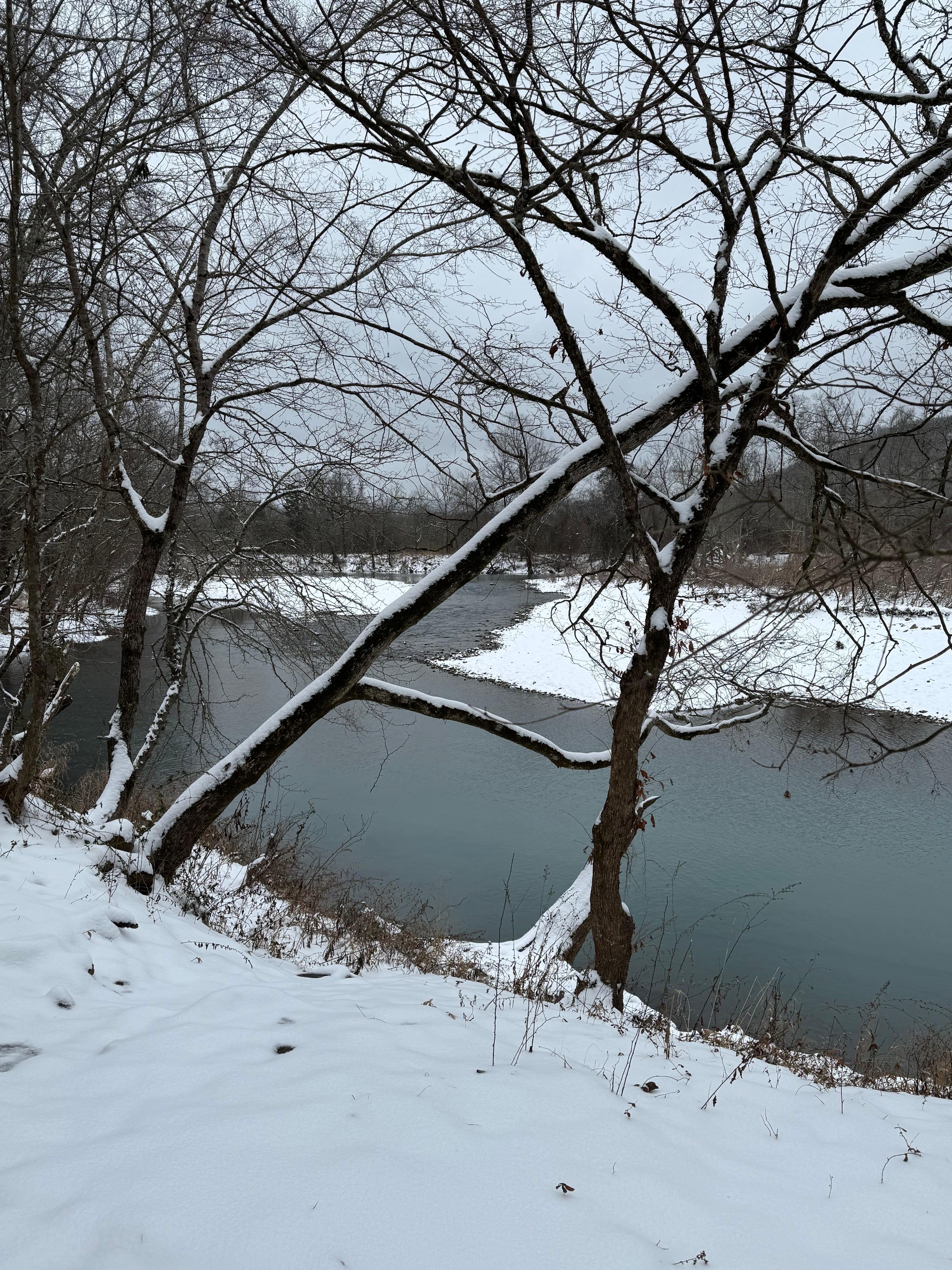 Mulberry River on cabin property 
