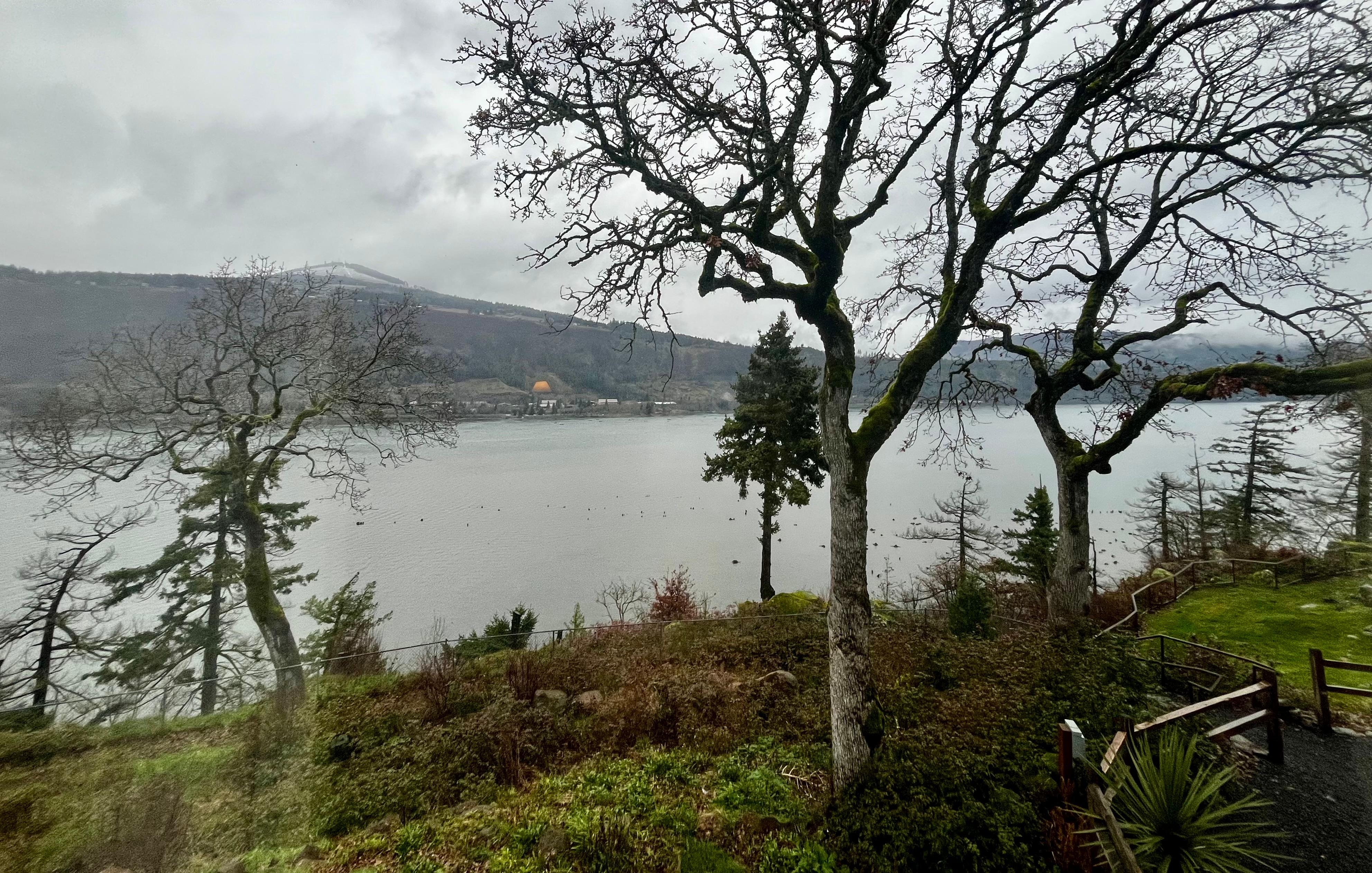 View out of king room with kitchenette. 