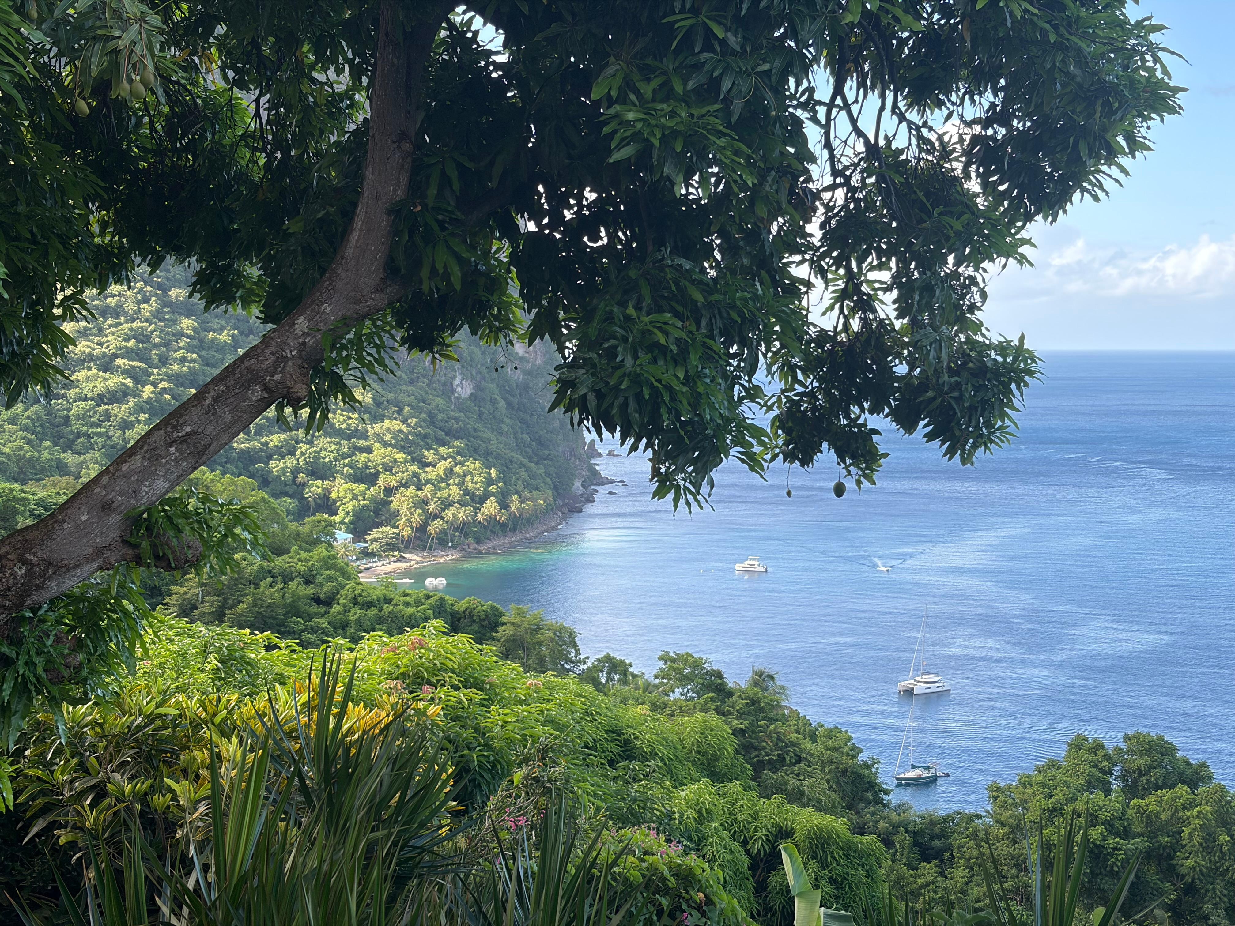 View from the Mango Tree restaurant 