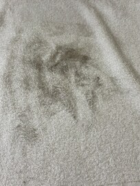 Towel after standing on filthy floor