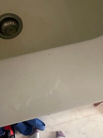 Ants on the kitchen side