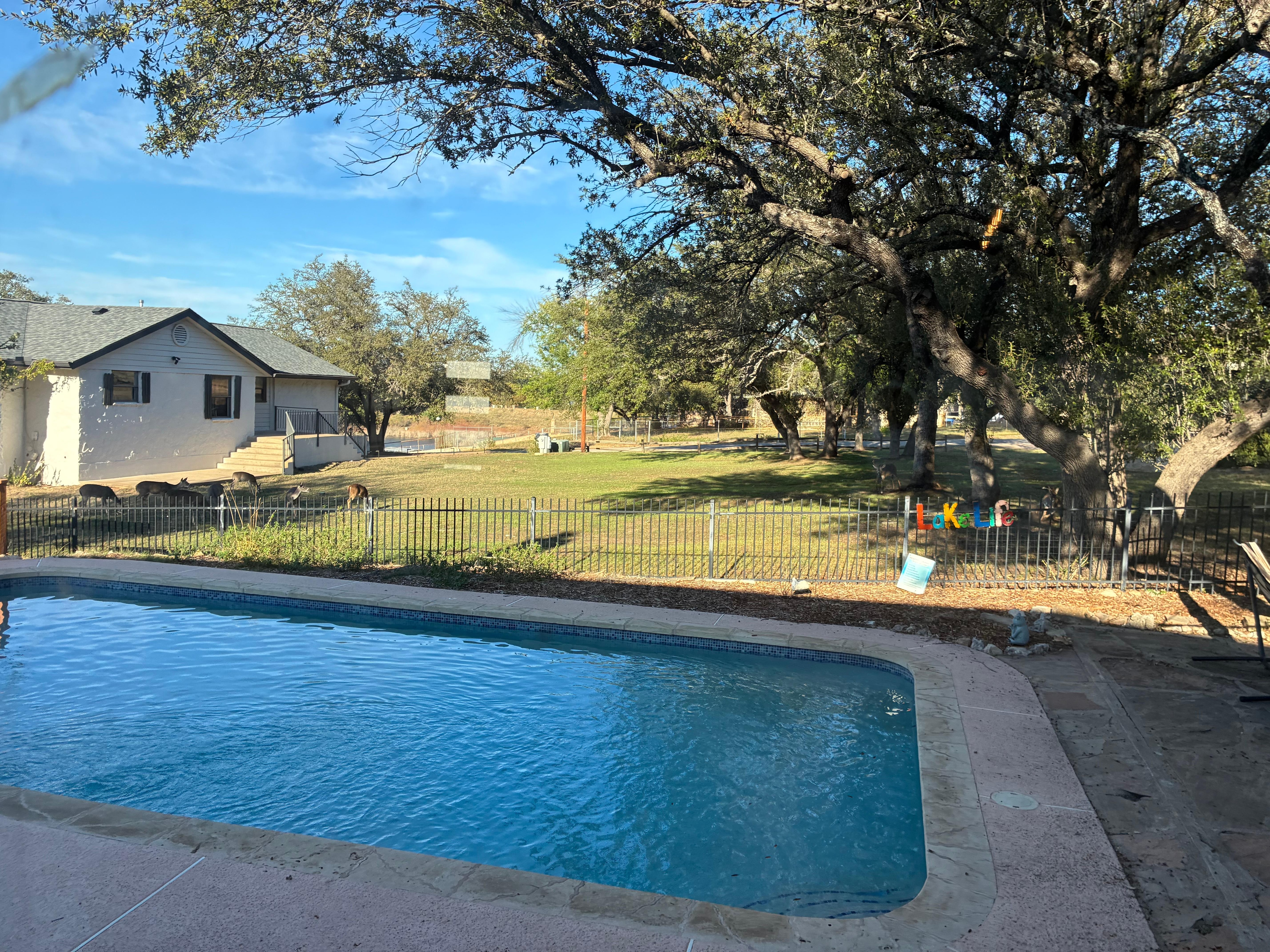 Swimming pool & behind backyard