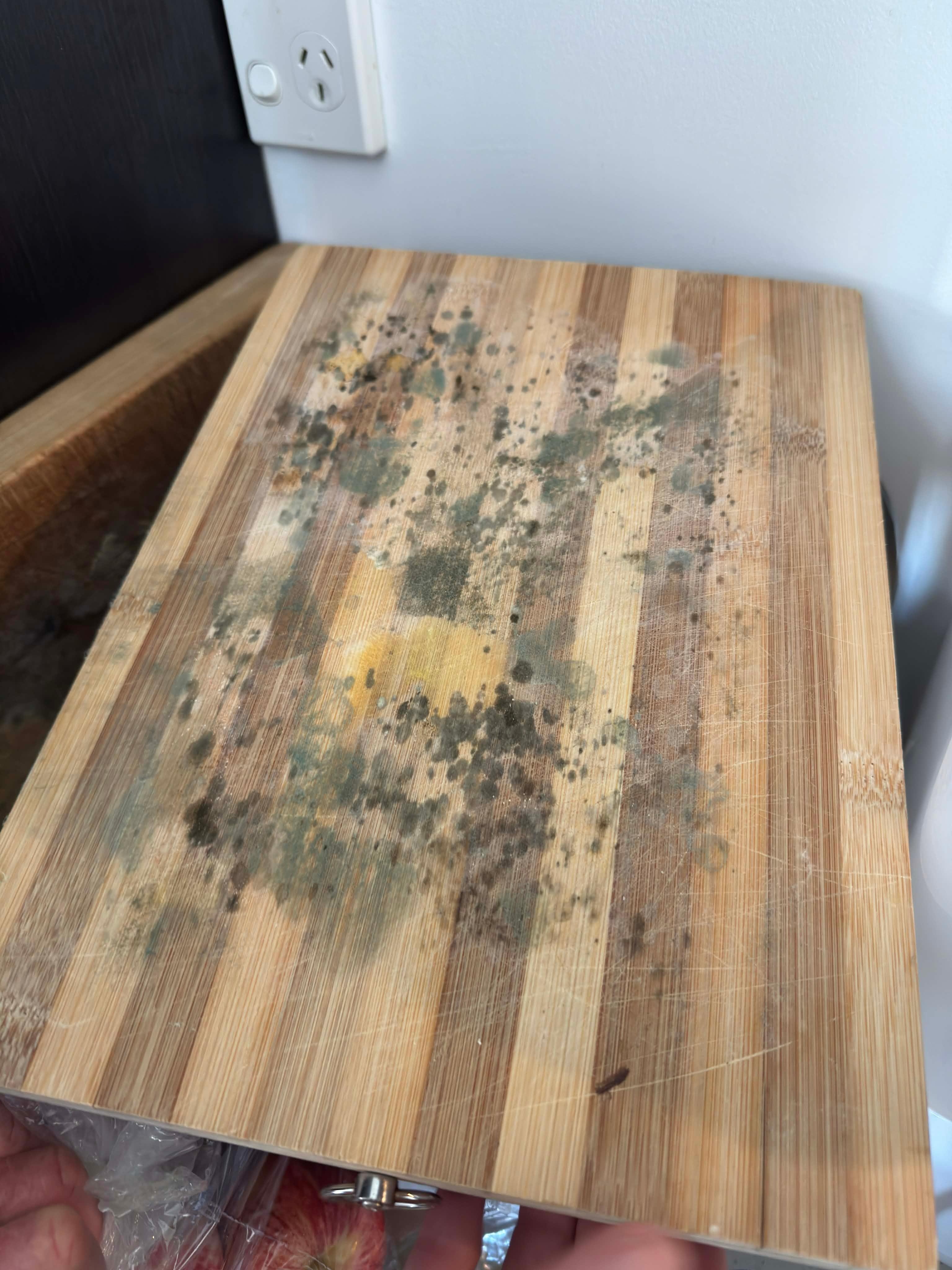 Mouldy chopping boards in kitchen 