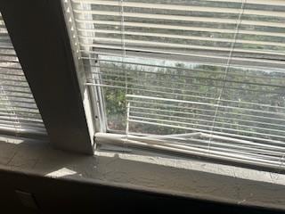 broken blinds/throughout house