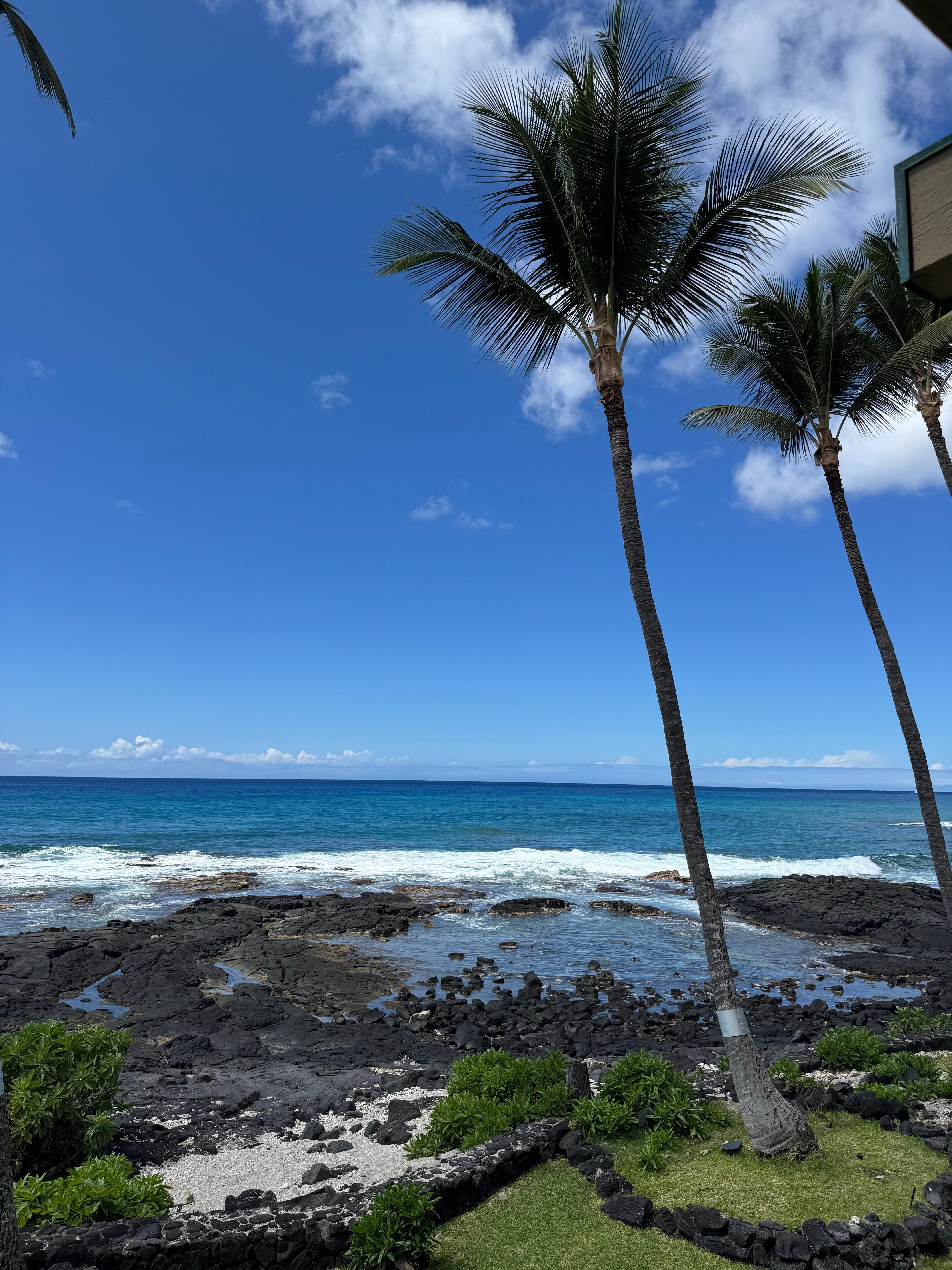 View from lanai our first day