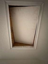 Attic you could see a red light up in the attic it was open that much