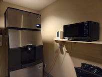 Ice machine and microwave