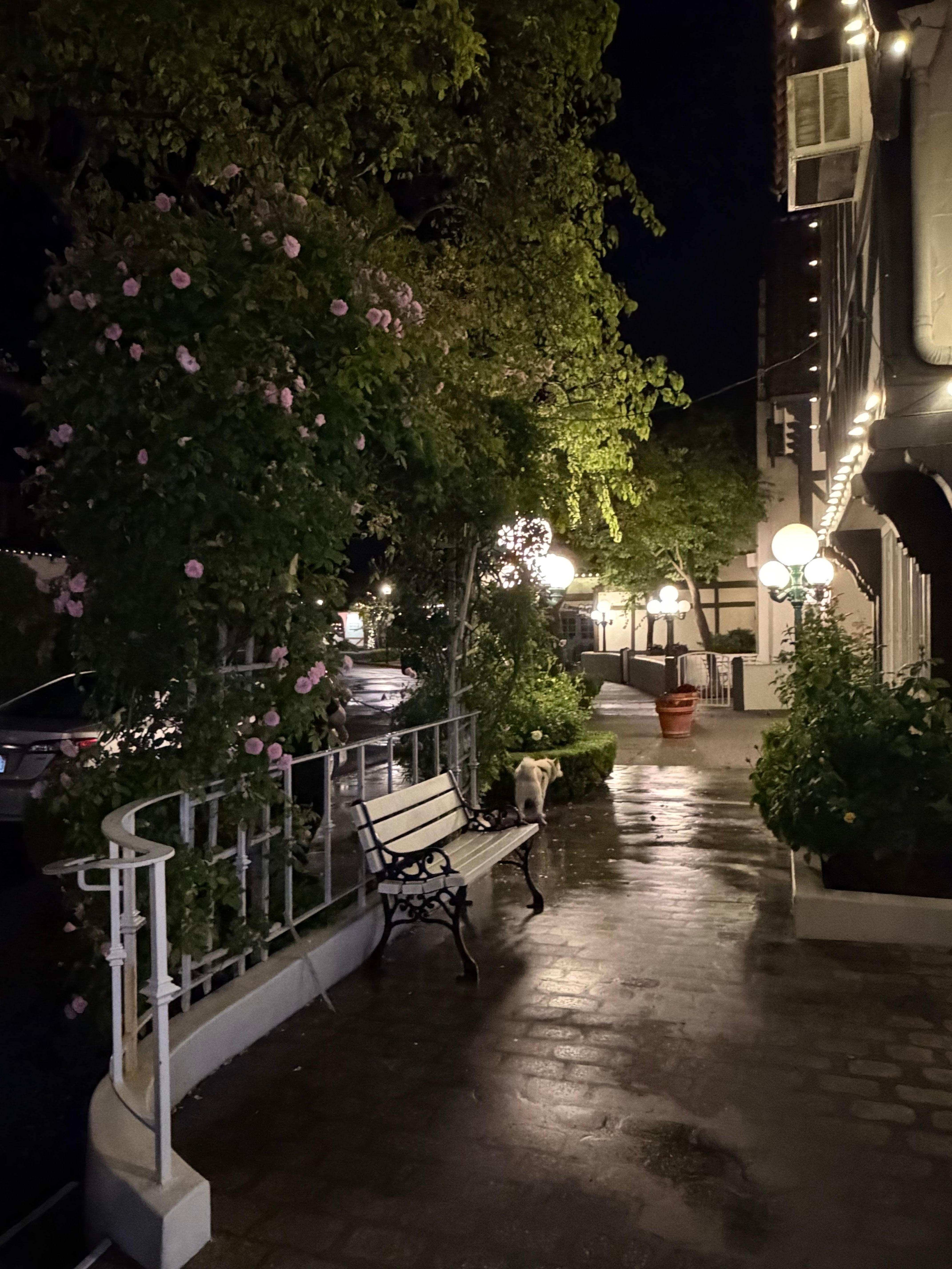 Even more beautiful in the rain ❤️