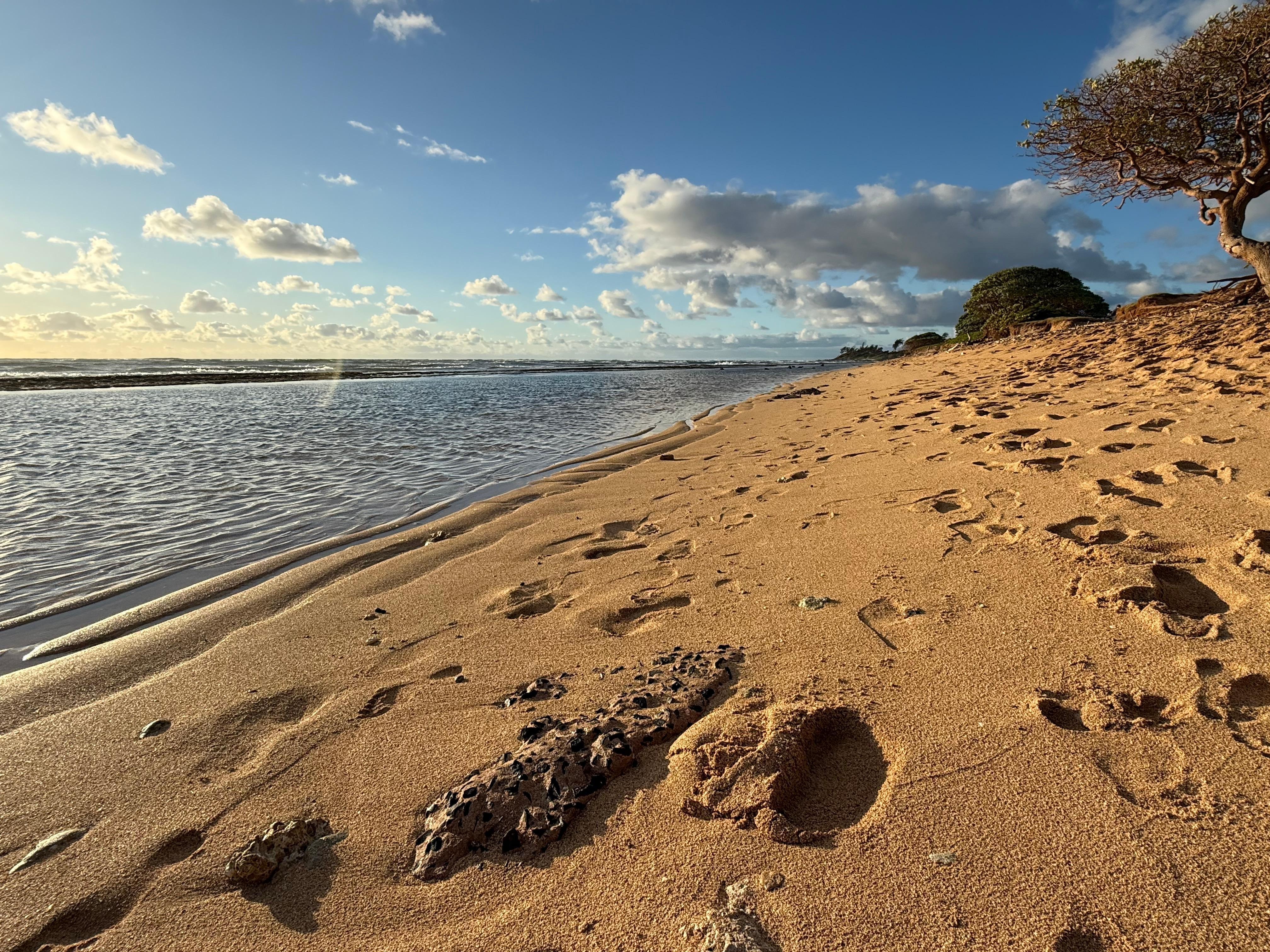 Beach 50yds from pool, right on hotel grounds looking south to Lihue airport