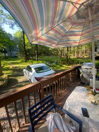 Looking out from the front door