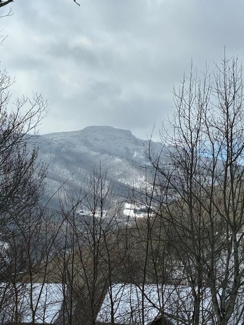 View from the deck on a snowy March day.