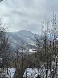 View from the deck on a snowy March day.