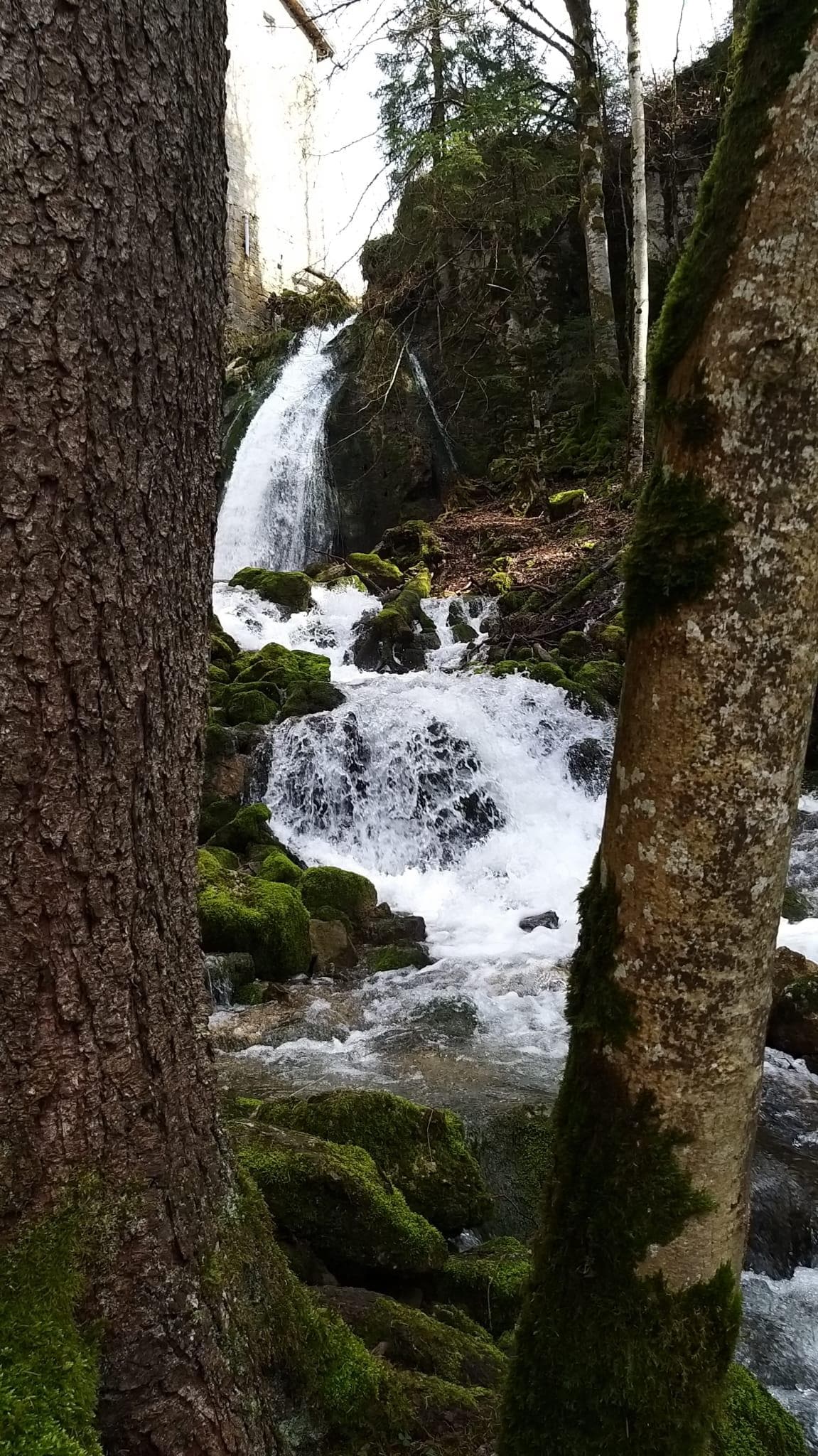 Cascade à découvrir à pied vers la location