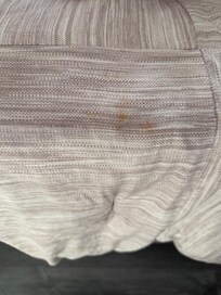 Stain