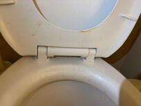 Splattered stains on toilet