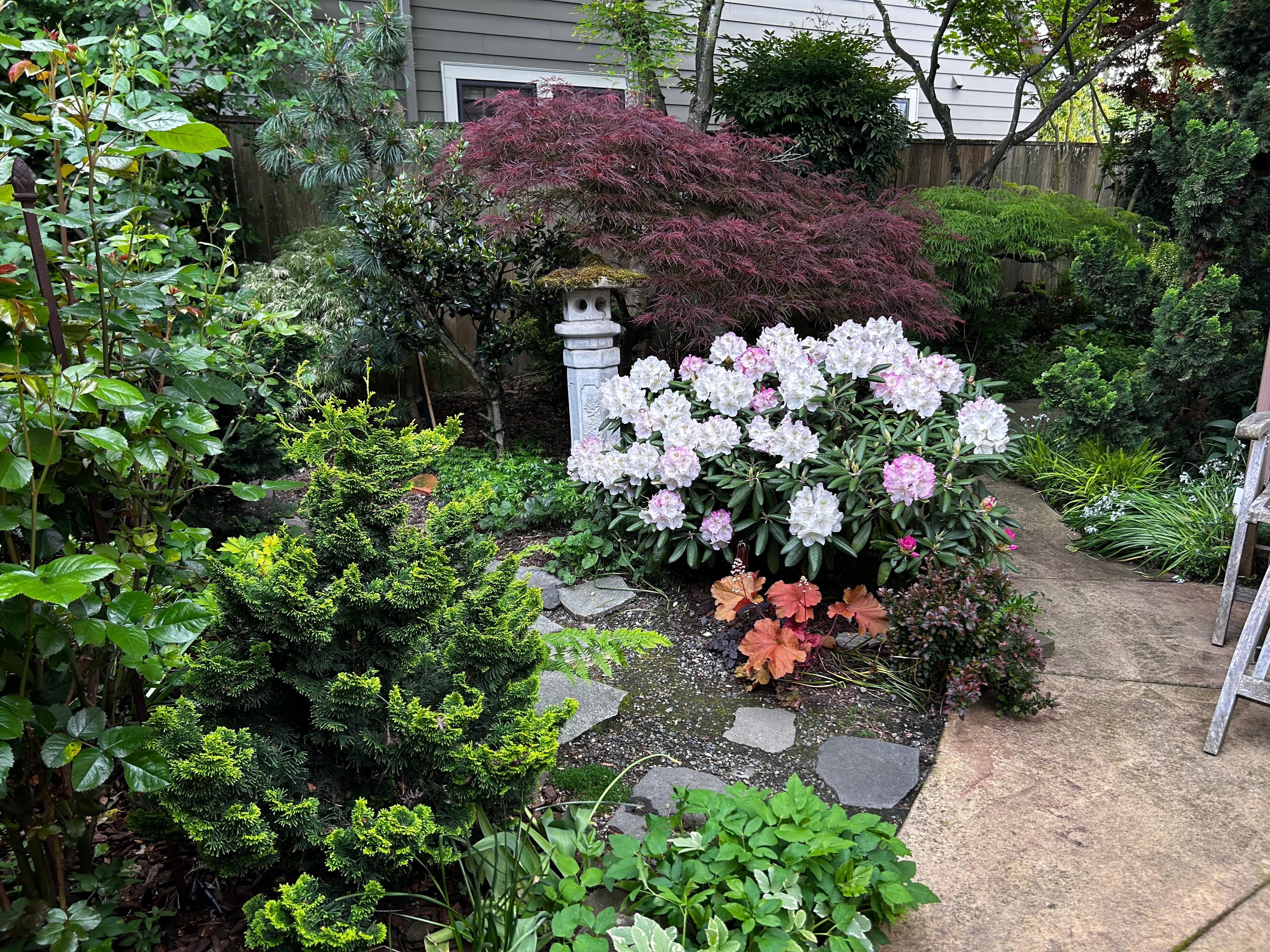 garden by entrance 