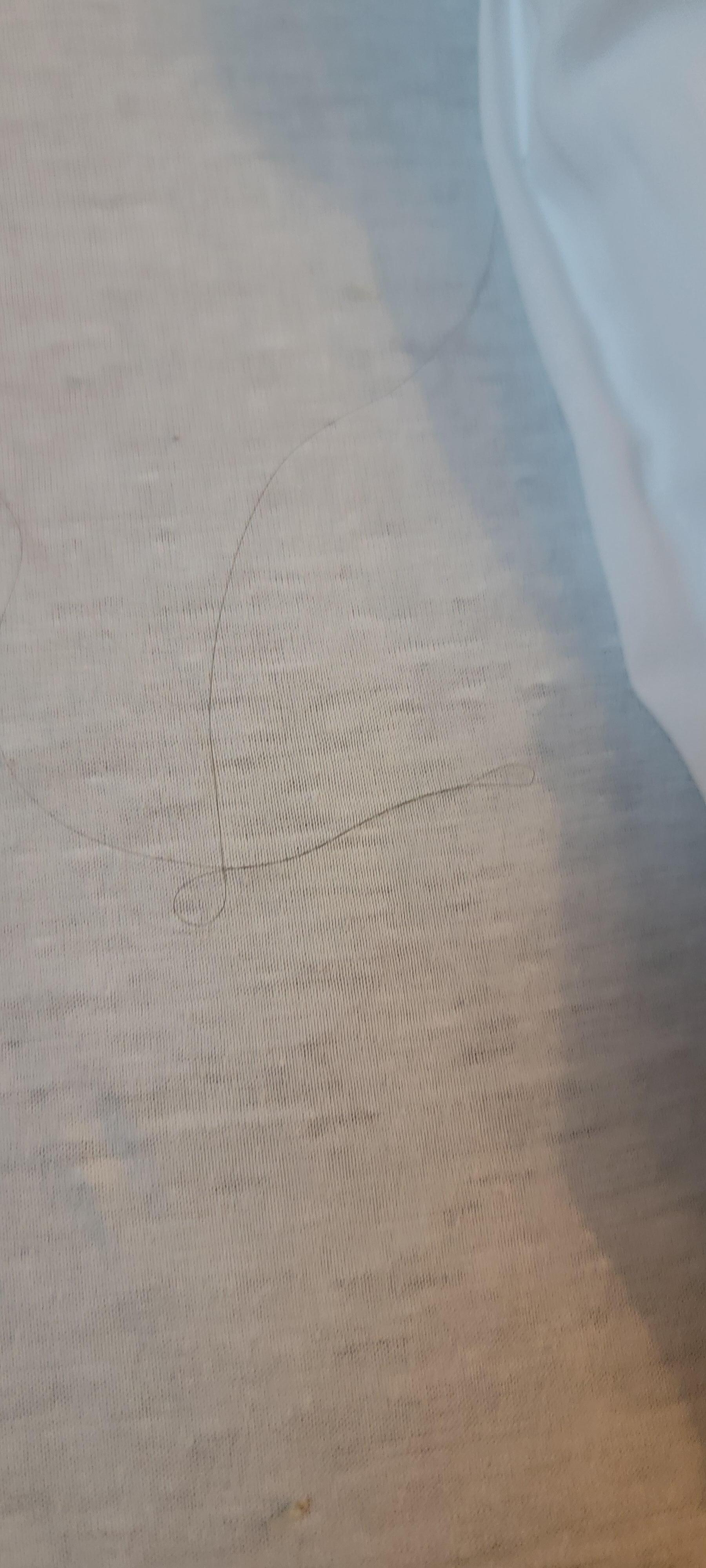Hair on sheets and under linens