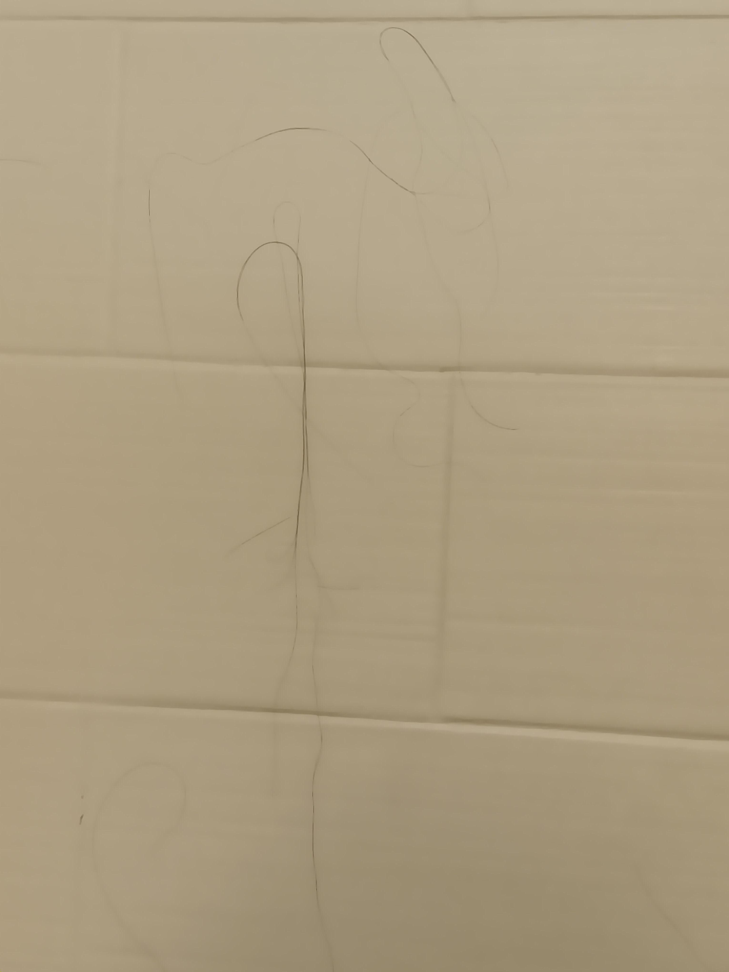 Disgusting... Hair in the wall bathroom.  Refrigerator was also dirty. 